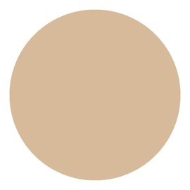 Kylie's Professional Mineral Goddess Concealer, Natural 5g