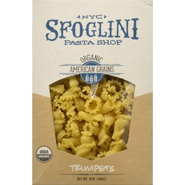 Sfoglini—Organic Durum Semolina Cavatelli—Made with Traditional Techniques & Wholesome Organic Grain—Holds Tight to Sauces—16oz Box
