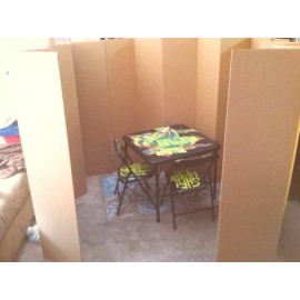 Unbranded Virtual School Zoom Backdrop Privacy Screen 4 Ft !! Room Divider Classroom