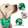 Maca Bates 2 Pack St Patricks Day Dog Irish Clover