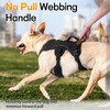 rabbitgoo Escape-Proof Dog Harness Medium with Large Handle, Anti-Pull Reflective