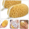 Set de 4 Esponjas Exfoliantes y Lufa para Ducha HAPINARY