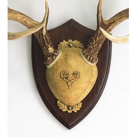 Taxidermists Woodshop TTW Ultimate Antler Mounting Kit - Dark Oak