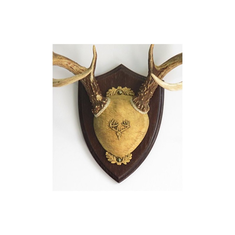 Taxidermists Woodshop TTW Ultimate Antler Mounting Kit - Dark Oak