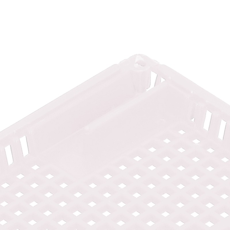 5Pcs Reusable Queen Bee Isolator Portable Queen Introducing Cage Beekeeping