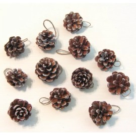 Unbranded Snow Pine Cone Ornaments Christmas Decorations 1  1/2" to 2" Natural Tree Cones