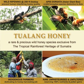 Premium Tualang Gold Honey 1.8oz (TA 10.5+, Pollen Count 6.5M+, Pollen Variety 200+) Supreme Choice for Rehabilitation, Wild-ripening on 250ft Treetop, Raw, Unpasteurised, Unfiltered