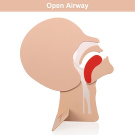 2 Packs CPR Head Section Model, XFT Model of Head for First Aid Training AED Training Kit Accessory CPR Training Equipment Accessory, for First Aid Trainee Beginner (XFT-E0002)