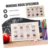 KICHOUSE Geology Classroom Essential 12 Piece Mineral Rock Specimen Kit