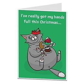 Funny Silly Animal Cat Christmas Card