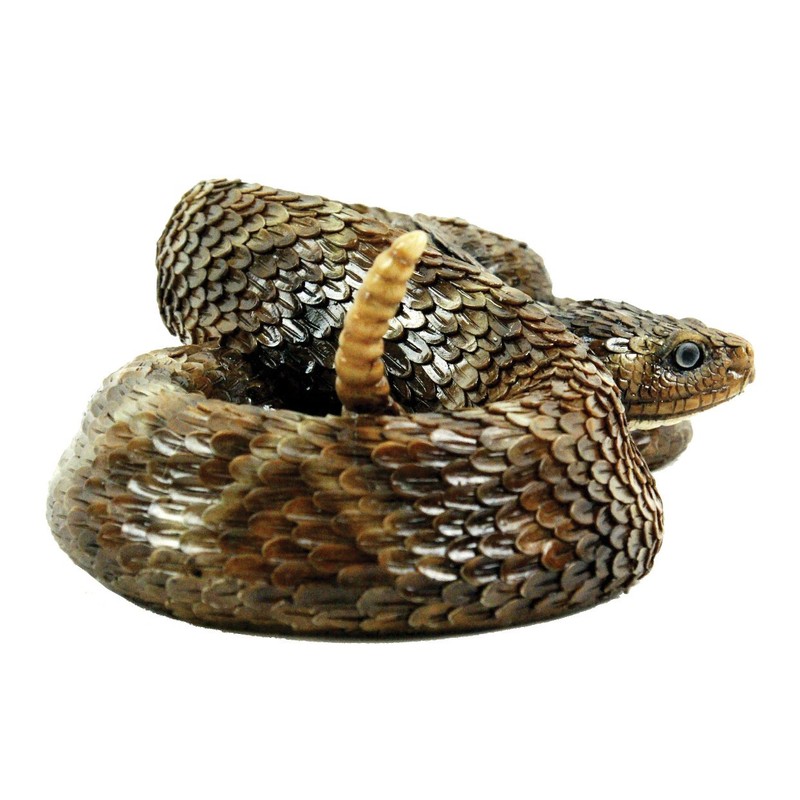 Western Diamondback Rattlesnake S by Michael Carr Designs - Outdoor