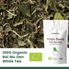 White Tea Organic White Peony 100g (50 Cups) | Bai