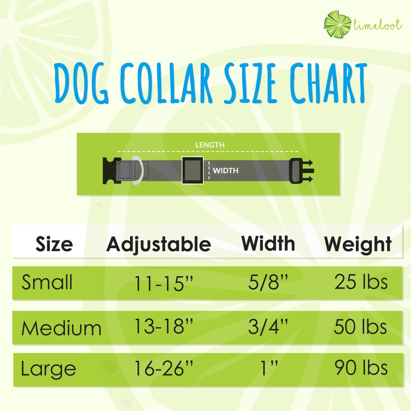 Limeloot Pink Daisy Dog Collar, Spring Summer Dog Collar for