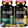 Dynamic Vitality Bundle - Sea Moss Multivitamin & Shilajit Power
