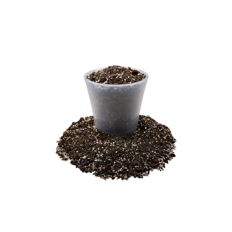 Expert Dahlia Potting Soil Mix by Gardenera - Enhance Growth