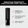 Sebastian Professional Penetraitt Shampoo Reparación 250ml