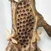 Darthome Teak Root Beehive Sculpture Hand Carved Rustic Wood 3