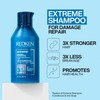 Redken Extreme 300ml Duo Pack