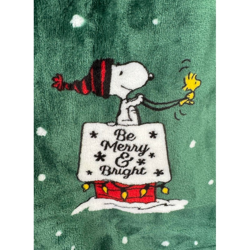 Peanuts Gang Christmas Velvet Soft Plush Throw Blanket, Green -