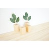 Modern Sacred Treasure Maple Shinto Set