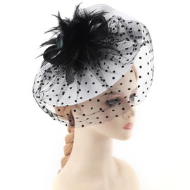 DRESHOW Fascinators Hat Mesh Veil Feathers Hat with a Headband and a Clip Tea Party Headwear for Women