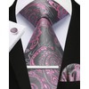Enlision Men's Ties Pink Paisley Clip Tie and Pocket Square