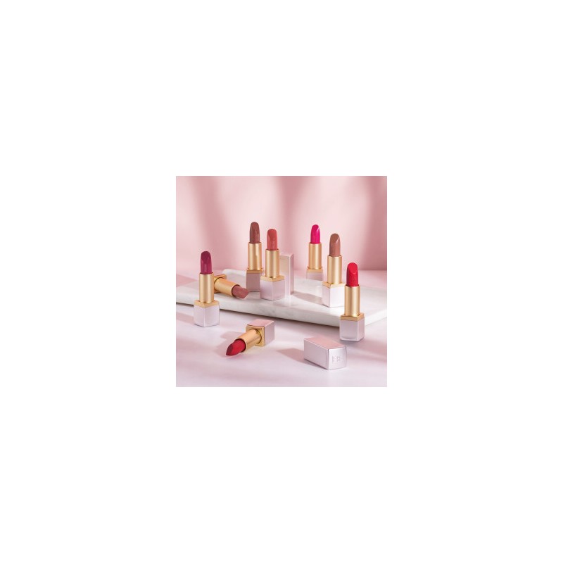 Lip Color Lipstick Collection 4g (Choose 1 of 21 colors)