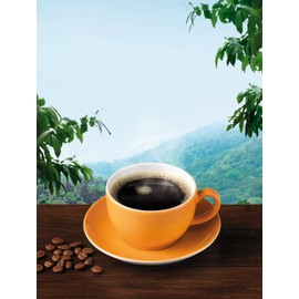 LEBENSBAUM Plantagen Coffee, Pure Arabica Roasted Coffee, Naturally Mild & Fine Aromatic, Demeter Arabica with Pleasantly Light Acidity, Whole Bean, 250 g