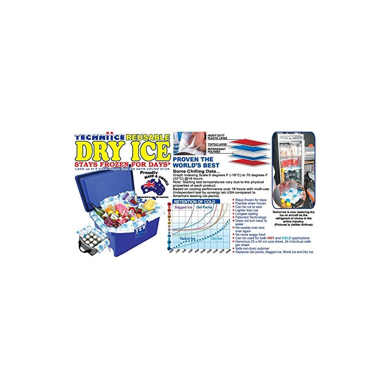 Techni Ice Heavy Duty Reusable Dry Ice pack (1 pack)