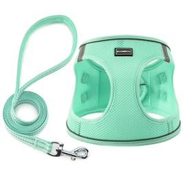 Dog Harness with Leash Set, No Pull Adjustable Reflective Step-in Puppy Pet Vest Harnesses for Small Medium Large Dogs and Cats,Green XS