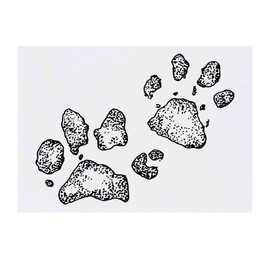 Azeeda 'Schlammige Tatze Druckt' Temporäres Tattoo - Hautfreundlicher & Ungiftiger Abziehbild · Wasserfest (TO00021129)