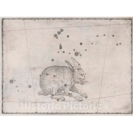 Historic Map : Constellation: Lepus, The Rabbit, 1655 Celestial Atlas - Vintage Wall Art - 30in x 24in