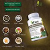 N' MORE Six Active Mushroom Defense Dietary Supplement Supports Immune