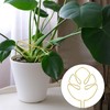 Plant Support Shrub Holder Plant Support Plant Support Plant Stem
