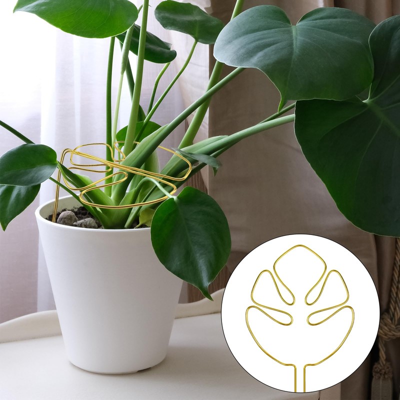 Plant Support Shrub Holder Plant Support Plant Support Plant Stem