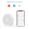 Tuya WiFi 2 In 1 Intelligent Smokes Carbon Monoxide Detector