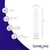 lumenivo Replacement for Coleman Lantern Bulb Kandolite 96500 9W CFL