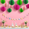 Pack of 12 Green and Pink Paper Honeycomb Balls, Hanging