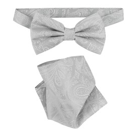 Vesuvio Napoli BowTie Silver Grey Paisley Color Mens Bow Tie & Handkerchief