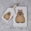 Azeeda 'Grumpy Capybara' Passport Cover & Luggage Tag Travel Set