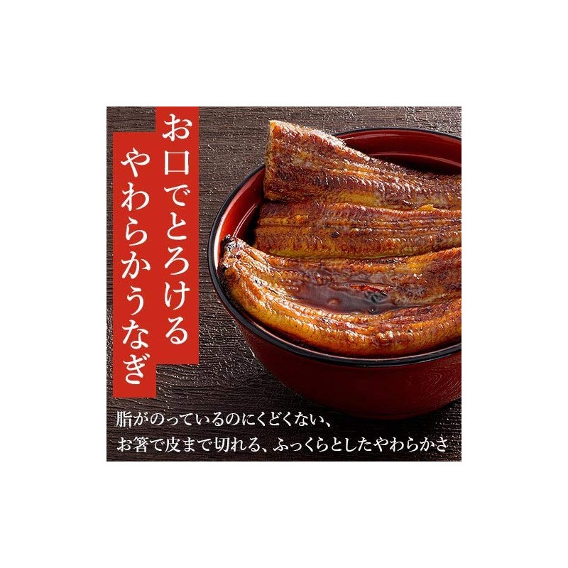 うなぎプレミアムギフトセット 国産うなぎ真空長蒲焼き 3尾ギフト 浜名湖山吹