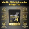 VivoNu Himalayan Shilajit Gummies with Ashwagandha & Gokshura | 85+