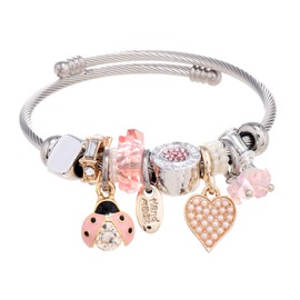 DS Charm Bracelets for girls,exquisite cute cartoon friendship bracelets Stainless Steel Bangle with birthday Gift box, Adjustable girls jewelry Suitable for holiday gifts (Pink Beetle)