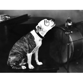 The Little Rascals Poster Art Photo Petey Pete The Pup Our Gang Hollywood Posters Photos 11x14