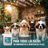 Shampoo para Perro - Brillo y Limpieza - Hipoalergnico -
