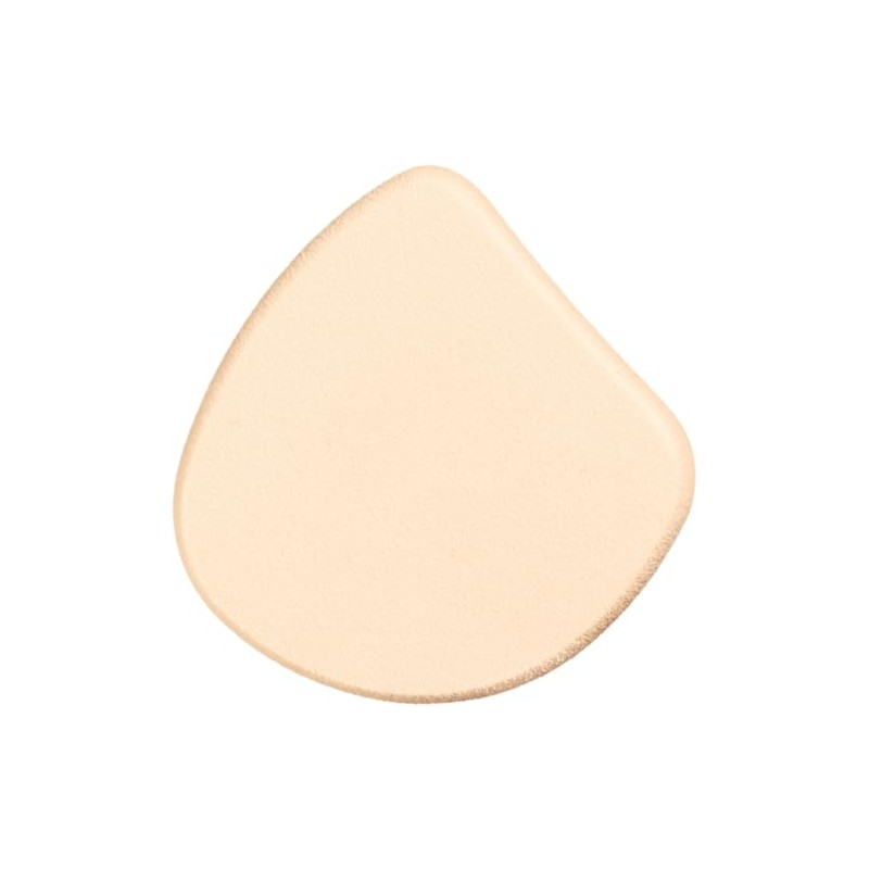 Exbote Vision Foundation Cushion Sponge