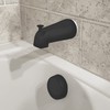 Danco 11079 Tub Spout, No Size, Matte Black | Danco