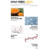 Therapo W Ampoule Whitening Vitality Tone Up 50ml Random Therapo
