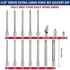 RIZOM 15-Piece 3/8" Drive Extra Long Torx Bit Socket Set, T10-T60 Star Bit So...
