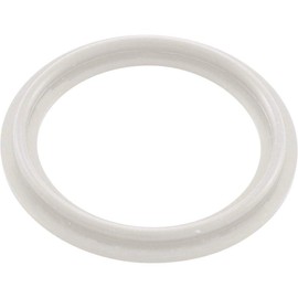 Waterway Plastics 806105124593 2" Heater O-Ring/Gasket